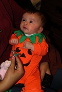 25th Oct 2014 - Our Little Pumpkin
