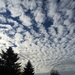 1025clouds by diane5812