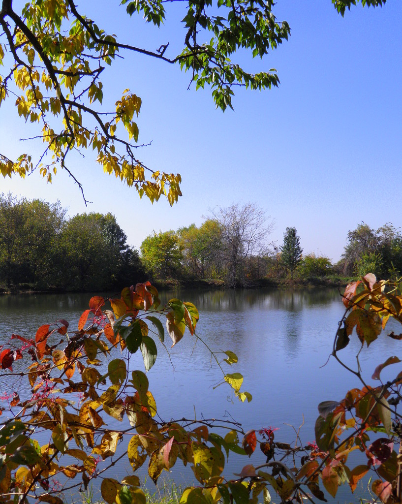 October 25: The View at the Pond by daisymiller