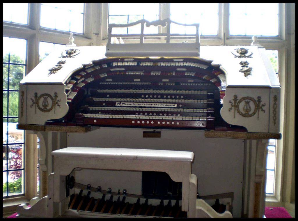 organ by summerfield