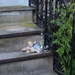 Still life and steps by congaree