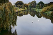 26th Oct 2014 - River Soar Leicester
