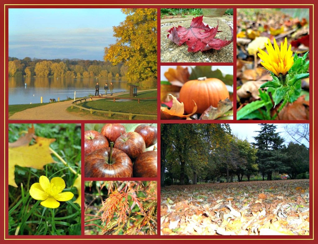 October word-Fall.  Autumn Glory by wendyfrost