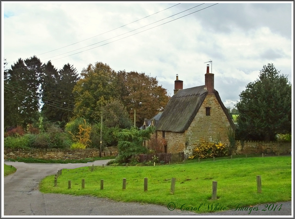 Upper Harlestone Village by carolmw