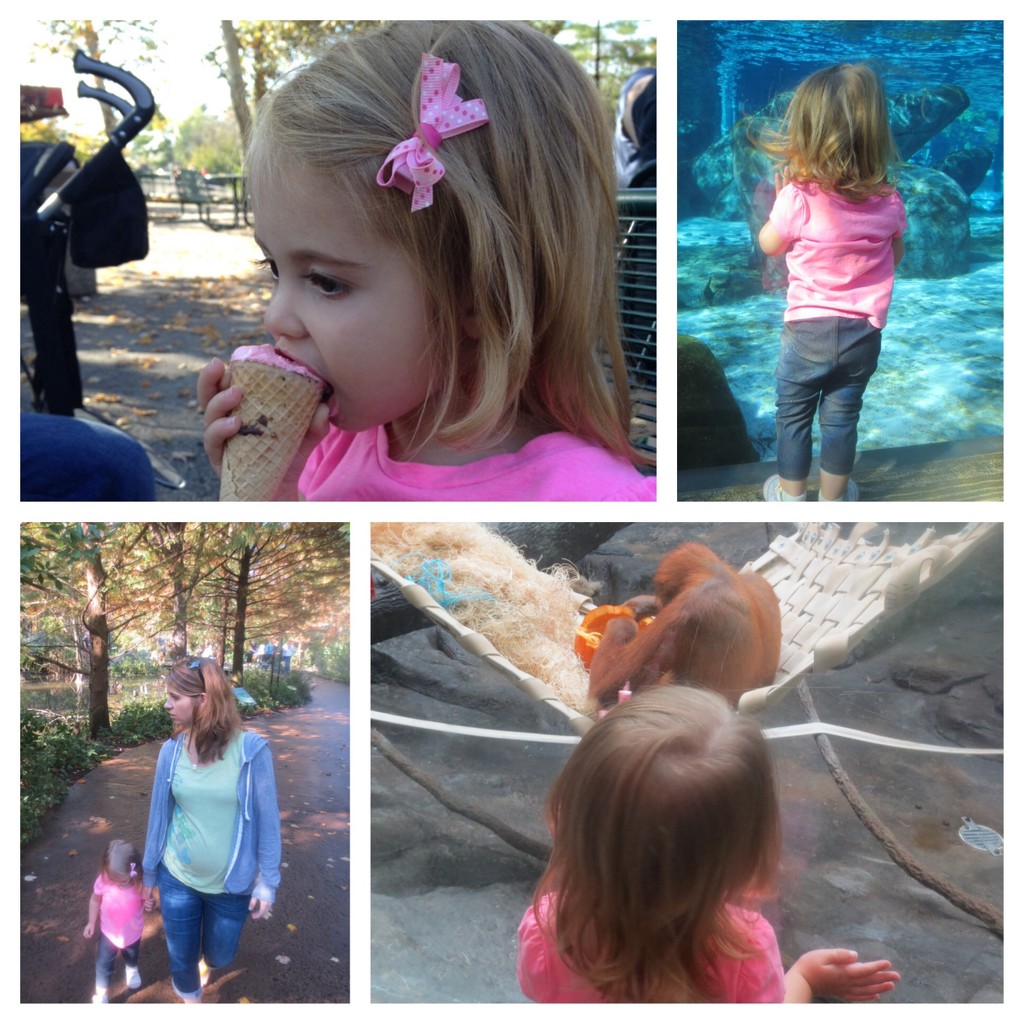 Fun at the zoo by mdoelger