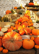 25th Oct 2014 - Pile of pumpkins