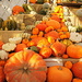 Pile of pumpkins by boxplayer