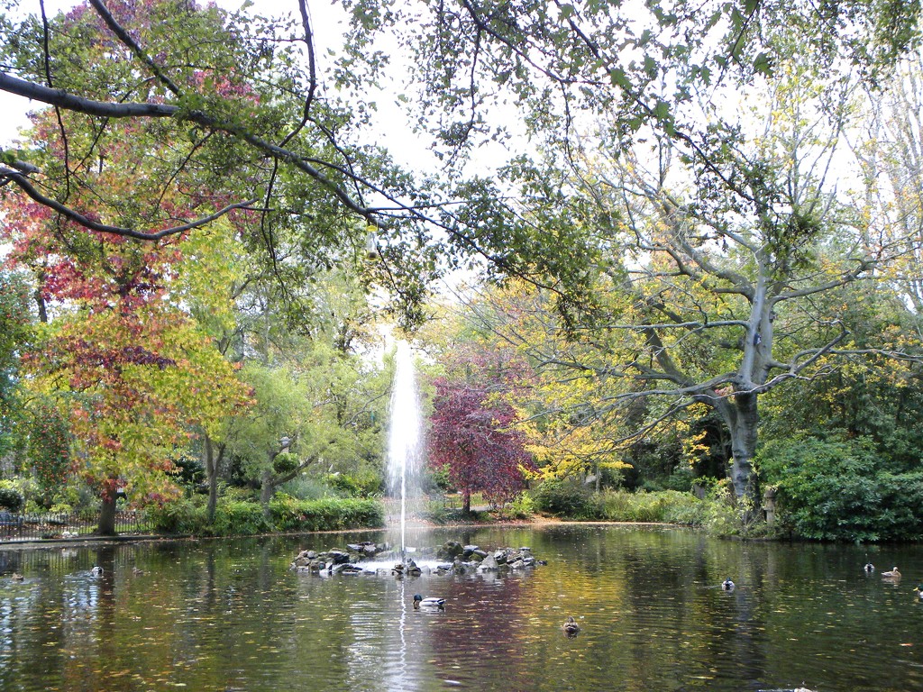 Lake at the Arboretum by oldjosh