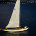 We Are Sailing by tonygig
