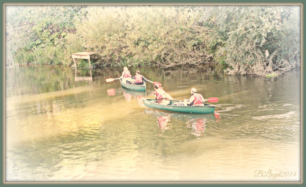 Rowing , rowing , down the Severn   by beryl