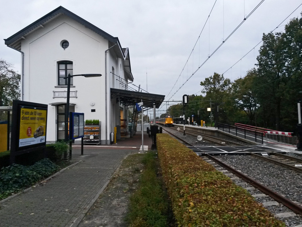 Wolvega - Station by train365