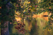 26th Oct 2014 - reflections of autumn color