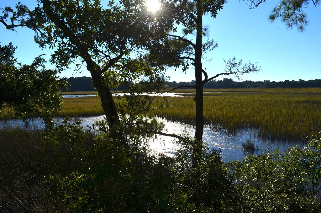 Charles Towne Landing State Historic Site, Charleston, SC by congaree