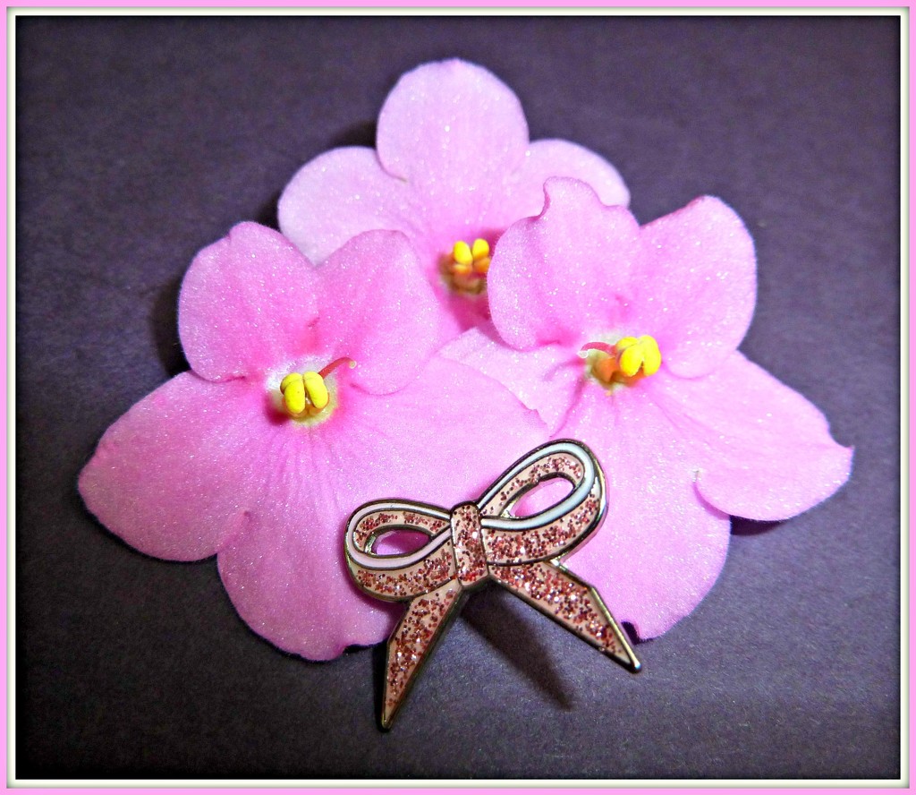 October word-Pink.  A Pink Ribbon Day   by wendyfrost
