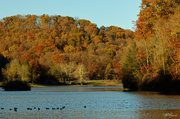 26th Oct 2014 - Lake at Bradys Run Park