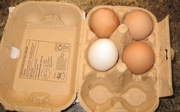 27th Oct 2014 - Edward and Lucinda's Chicken Eggs