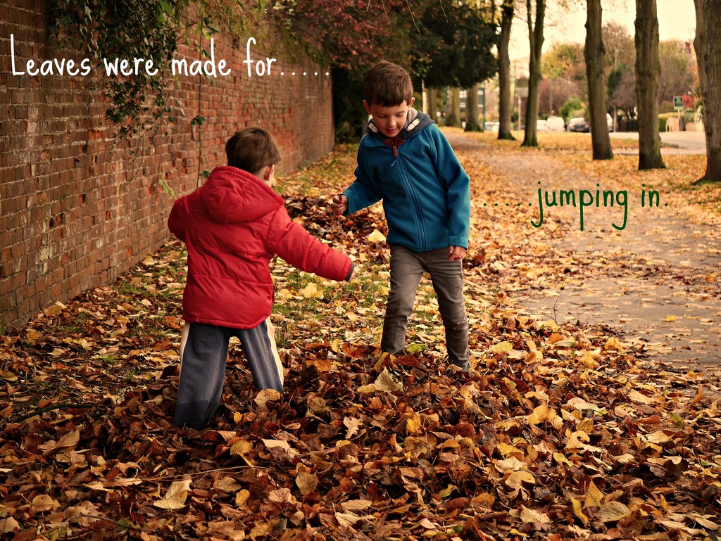Leaves were made for jumping in. by newbank