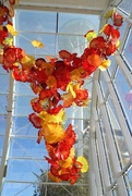 22nd Oct 2014 - Dale Chihuly Glass Exhibit