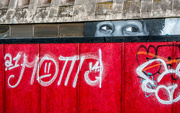 27th Oct 2014 - Grafitti