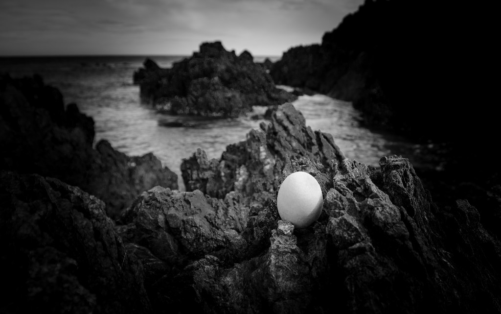 Dali's Egg – Hijacked. by yaorenliu