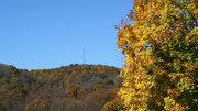 28th Oct 2014 - More colors in Pennsylvania