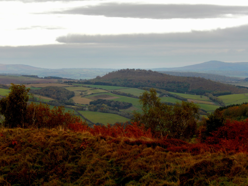 The view from Bury- Ditches... by snowy