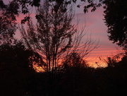 28th Oct 2014 - Red Sky at Night......