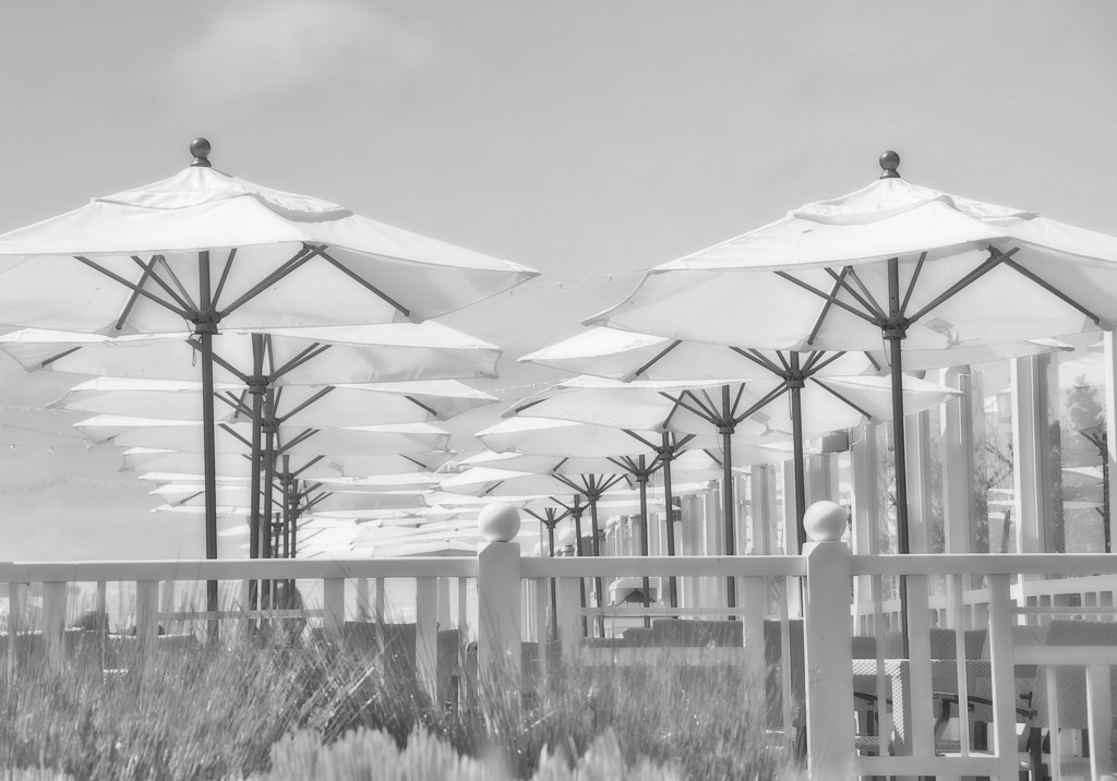 Beach Umbrellas by joysfocus