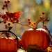 Autumn Still Life by lynnz