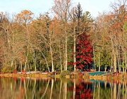 28th Oct 2014 - Color By The Lake