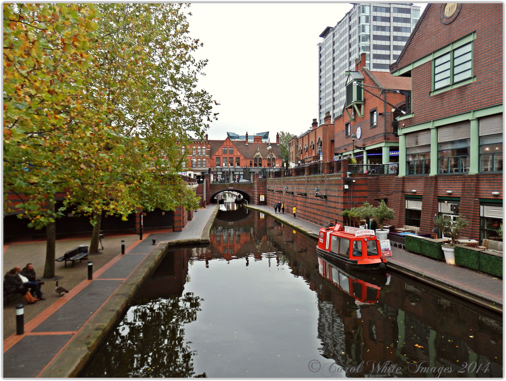 Birmingham-Worcestershire Canal by carolmw