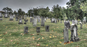 29th Oct 2014 - Graveyard