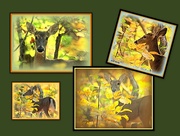 30th Oct 2014 - Deer collage