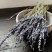 Dried lavender and a bowl  by quietpurplehaze