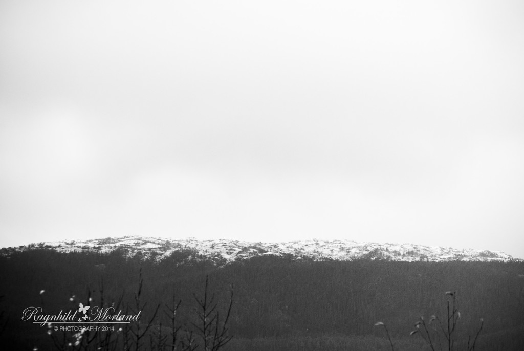 There is Snow on the Mountain by ragnhildmorland