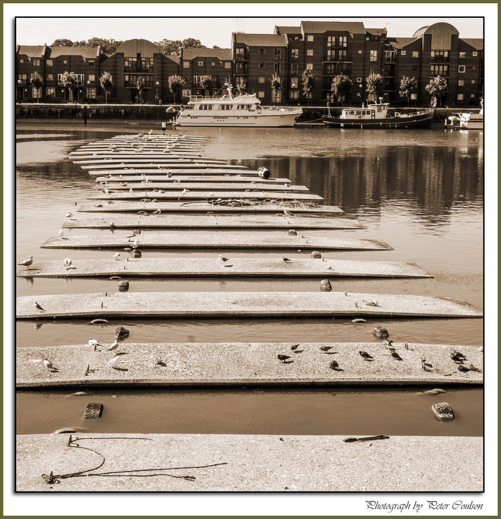 Preston Old Docks by pcoulson