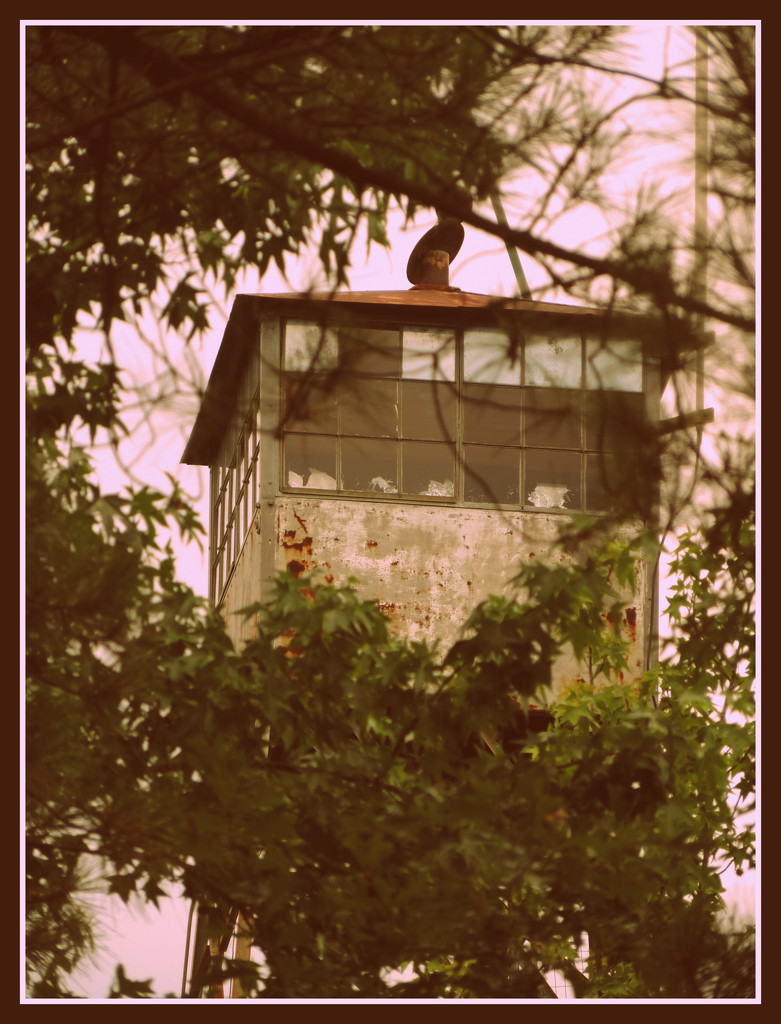 Vintage Fire Tower by homeschoolmom