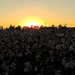 Cotton sunset! by homeschoolmom