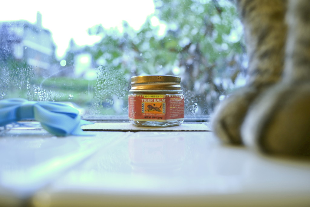 Tiger Balm and Kittie Paws by stephomy