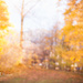 Autumn Colors by ragnhildmorland