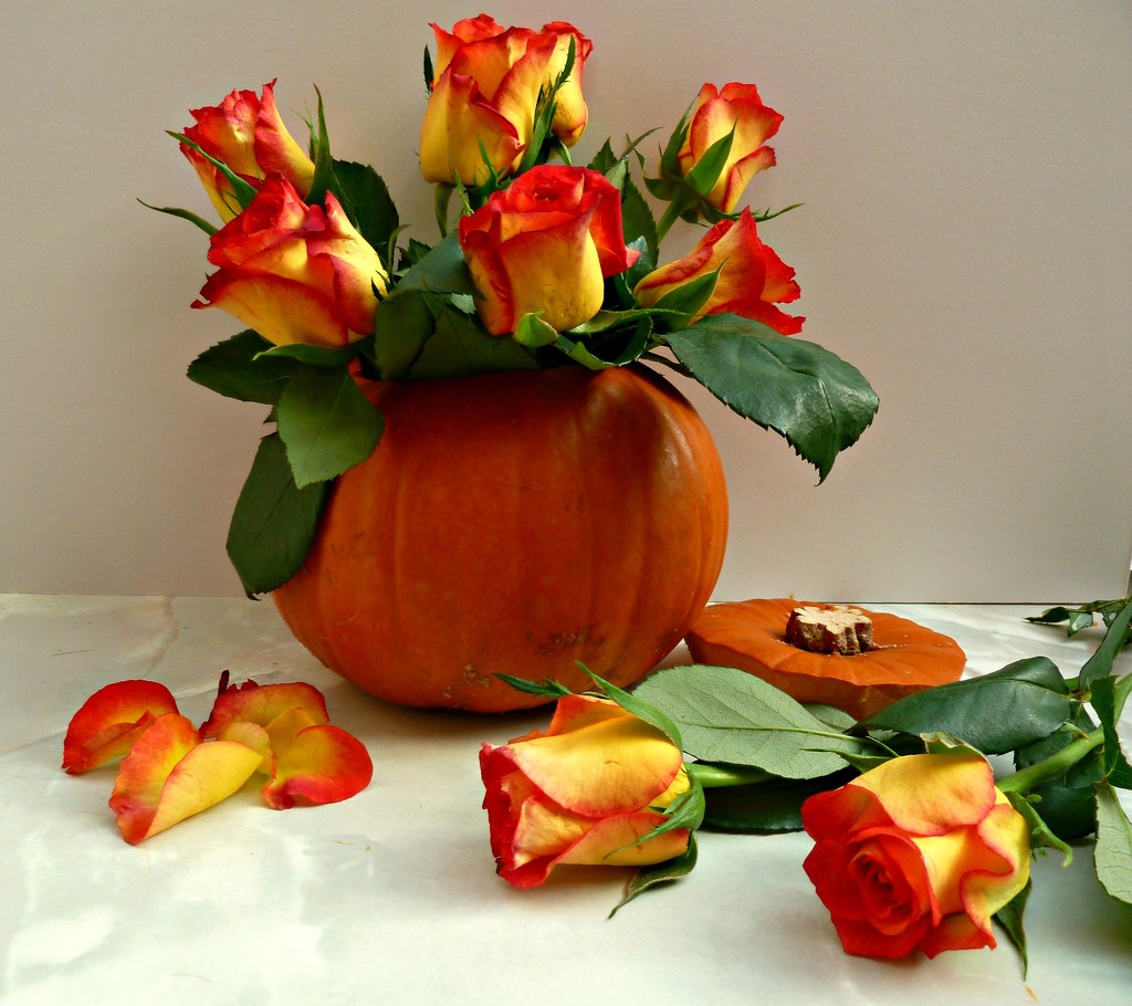 Halloween Roses  by wendyfrost