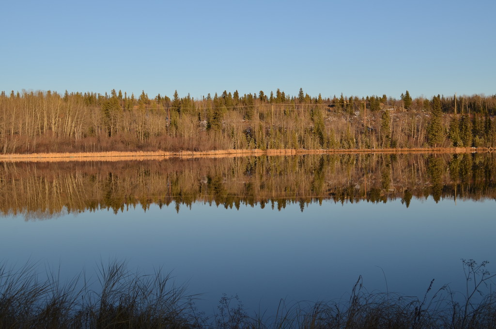 Day 122 - Mirror Image Lakeside by ravenshoe