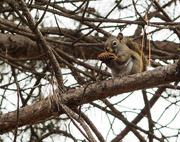 30th Oct 2014 - Dinner Time