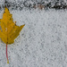 Fall or Winter? by ukandie1