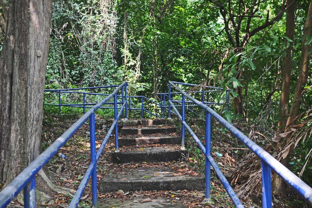 Rainforest walkway Gertak Sanggul by ianjb21