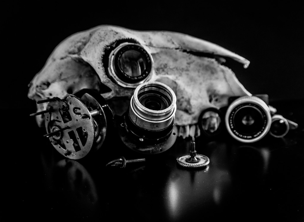 Steampunk Skull by graemestevens