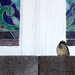 Little Church Bird by linnypinny