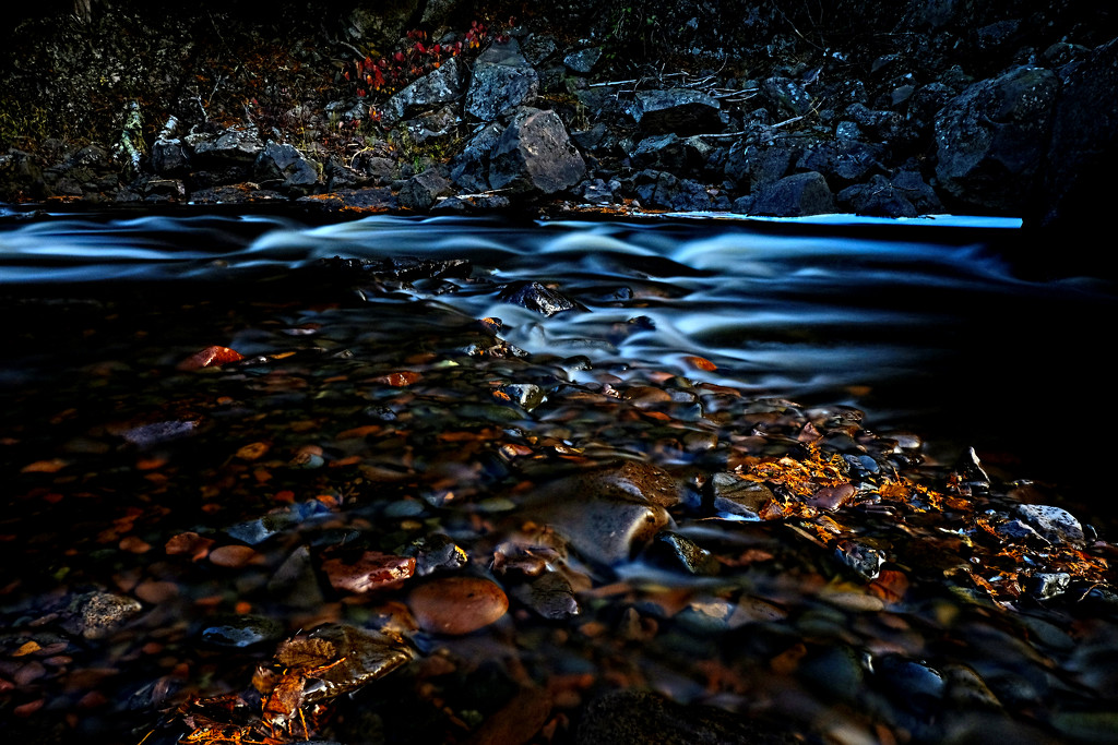 Filtered Sunlight, River, Rocks and Leaves by tosee