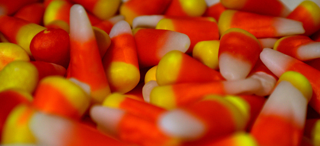 Day 304:  Candy Corn by sheilalorson