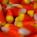 Day 304:  Candy Corn by sheilalorson